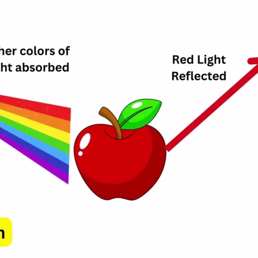 Every Wave Phenomenon Explained under 14 Minutes