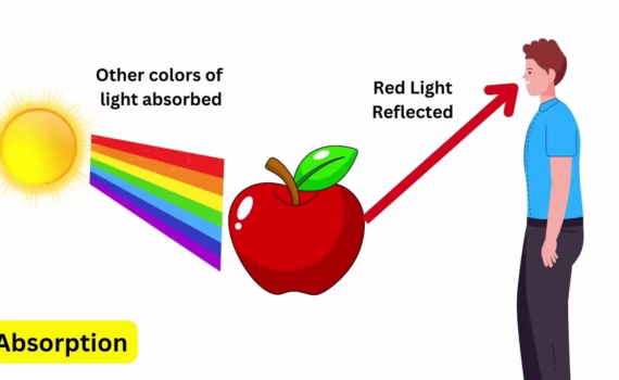 Every Wave Phenomenon Explained under 14 Minutes